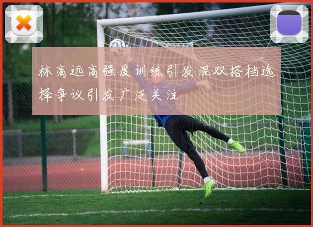 林高远高强度训练引发混双搭档选择争议引发广泛关注